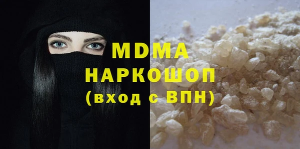гашик Алексин