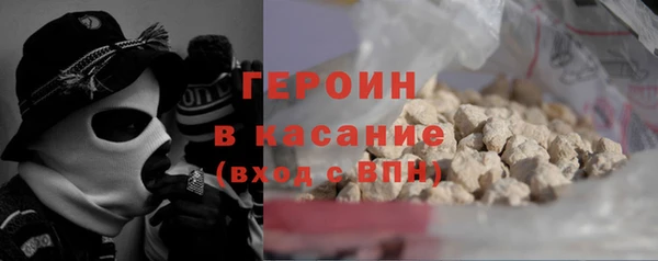 гашик Алексин