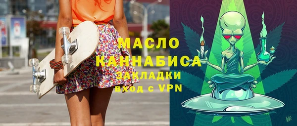 гашик Алексин
