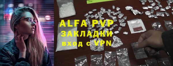 гашик Алексин